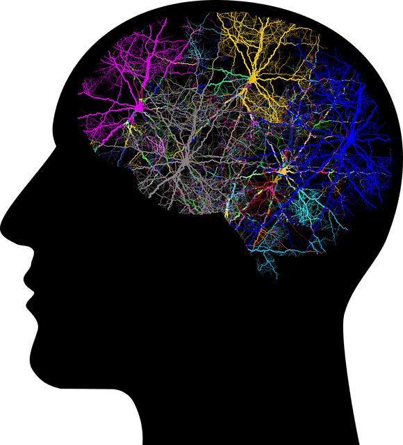 Brain connections for new learning