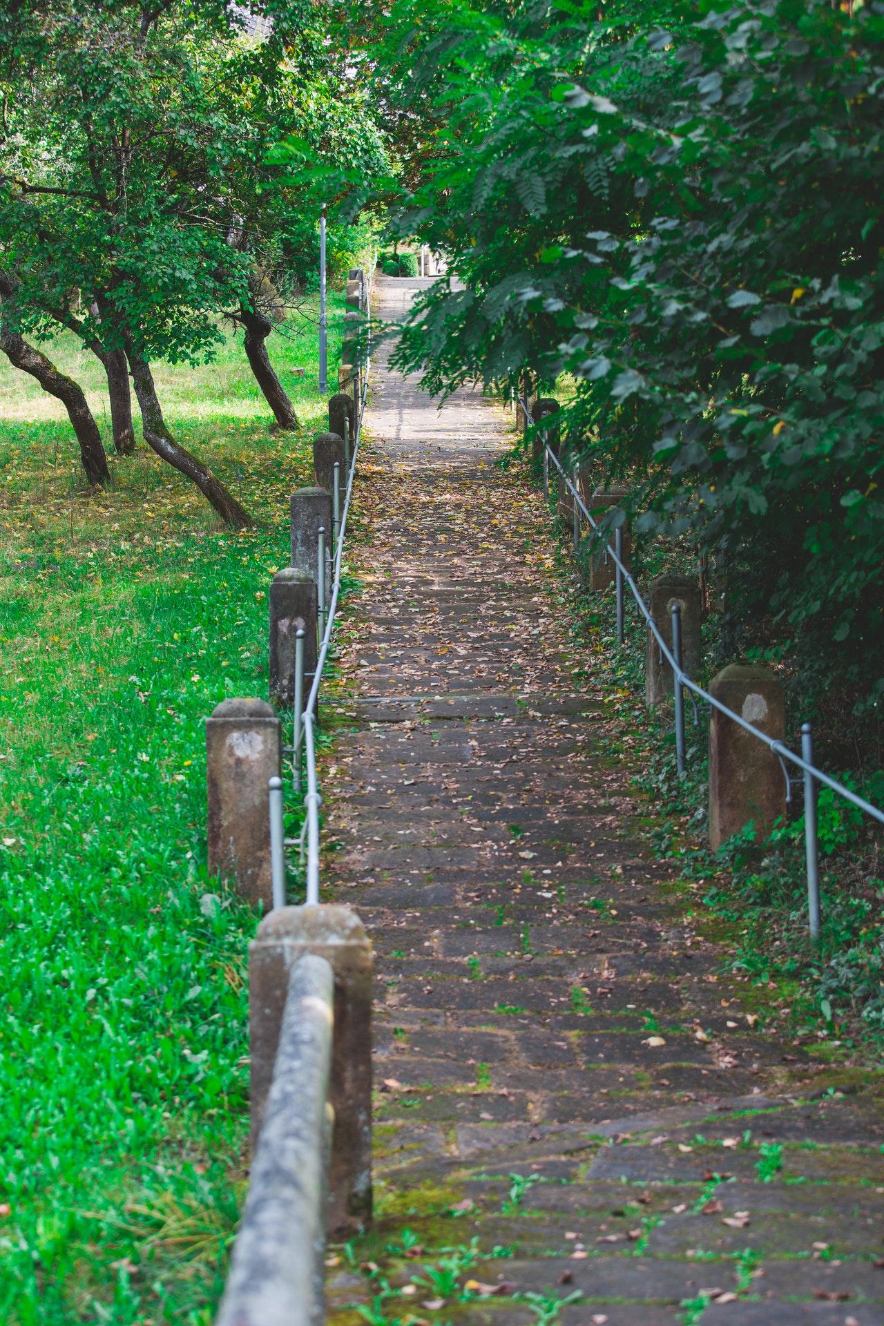 Path in a park