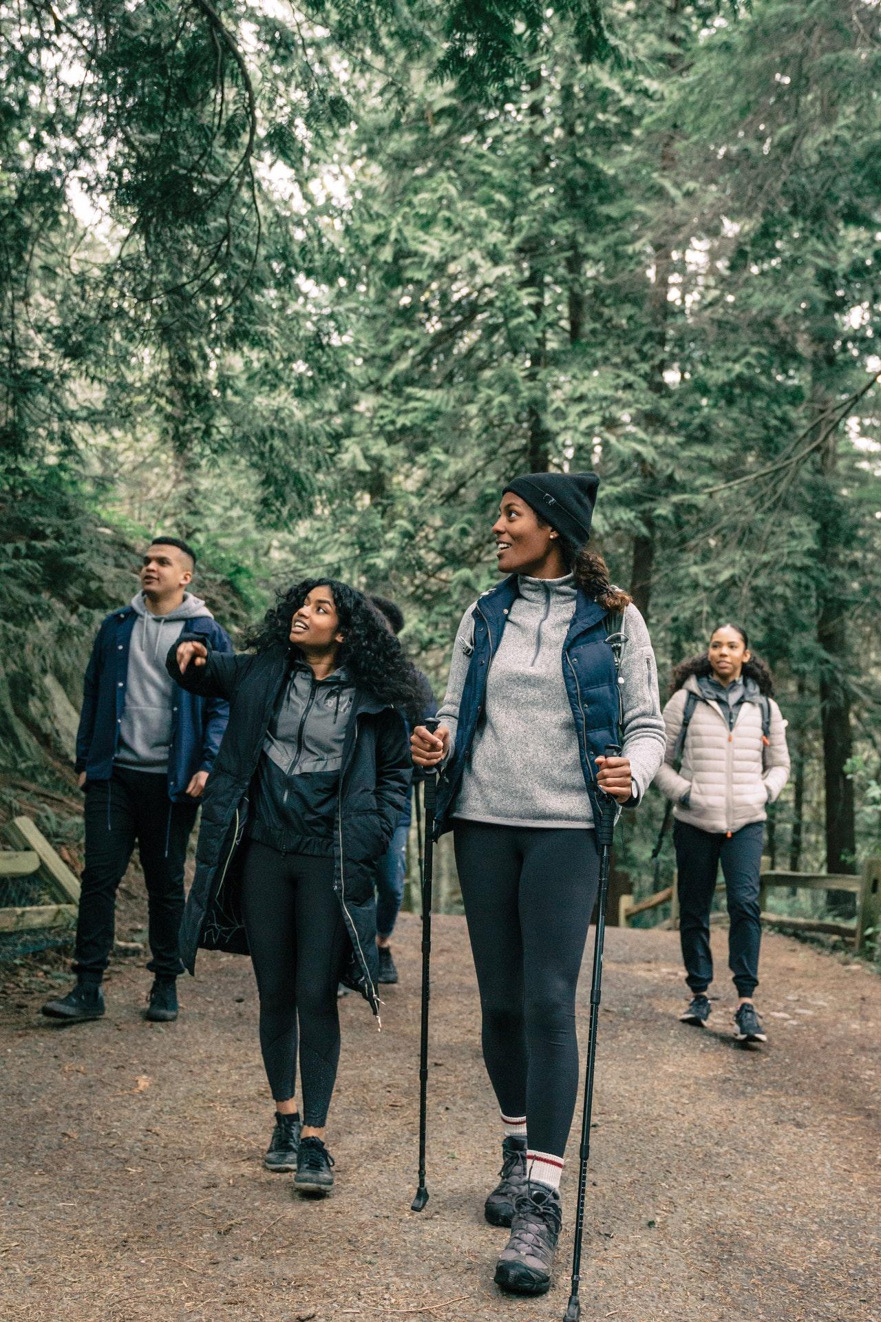 People Hiking in the Fresh Air through a Forest