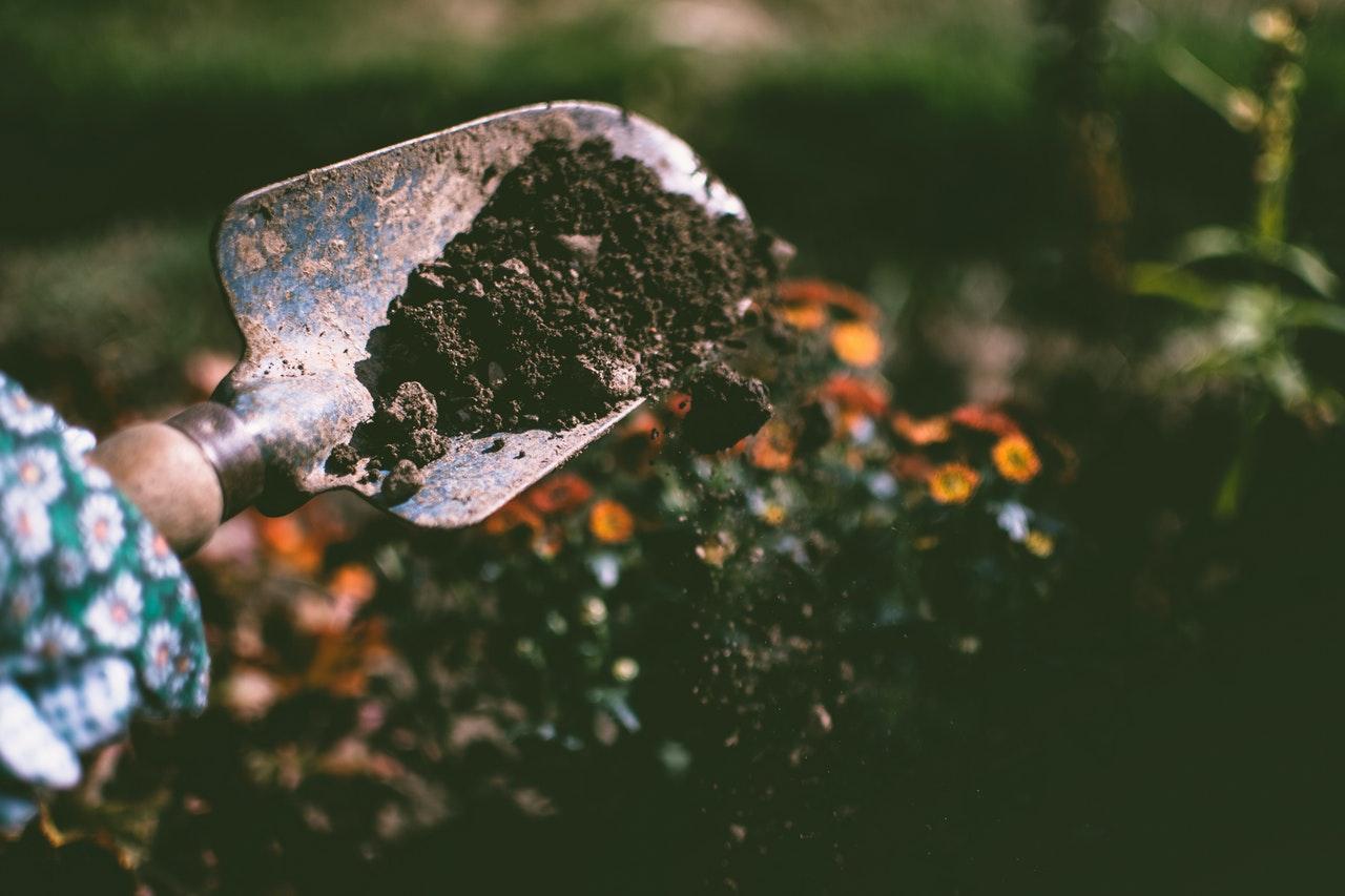 Person Digging on Soil Using Hand-held Garden Shovel in the Fresh Air