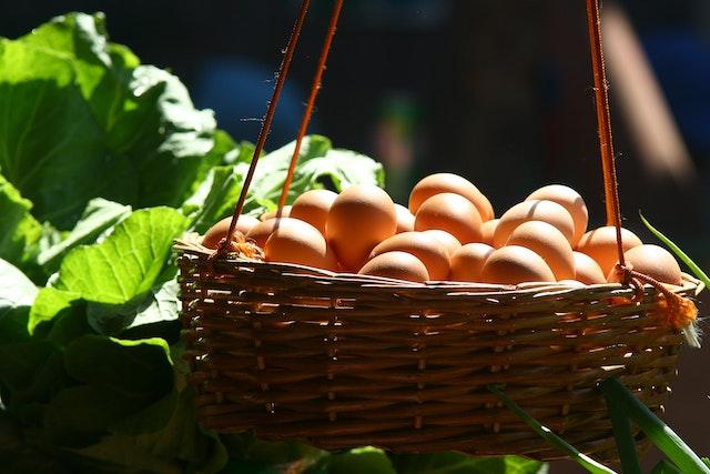 Basket filled with chicken eggs