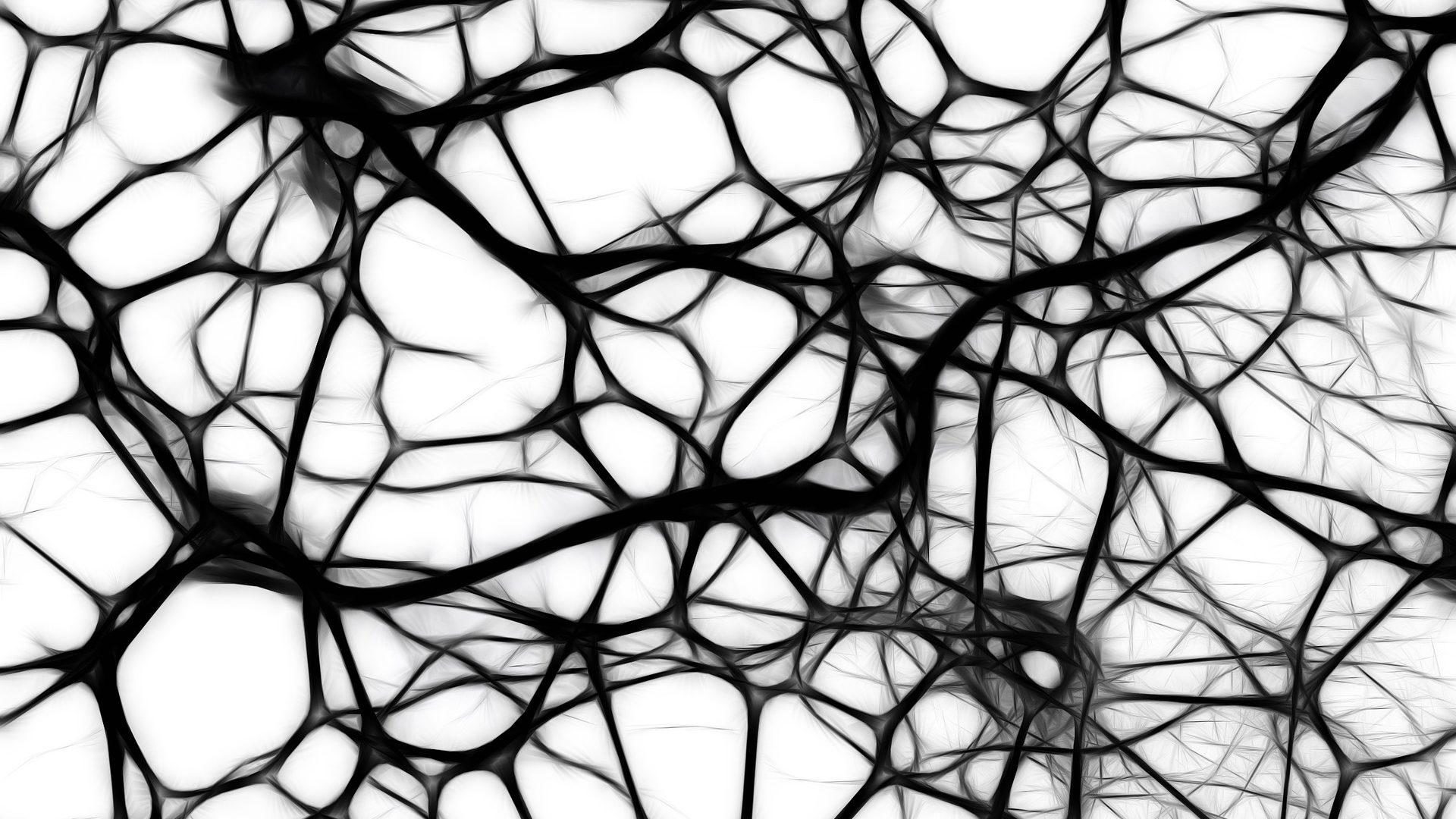 Neurons in black and white