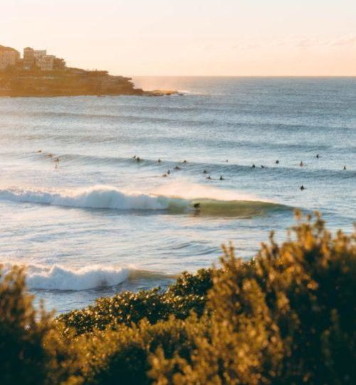 Group of people swimming in sea at Bondi Beach, Australia